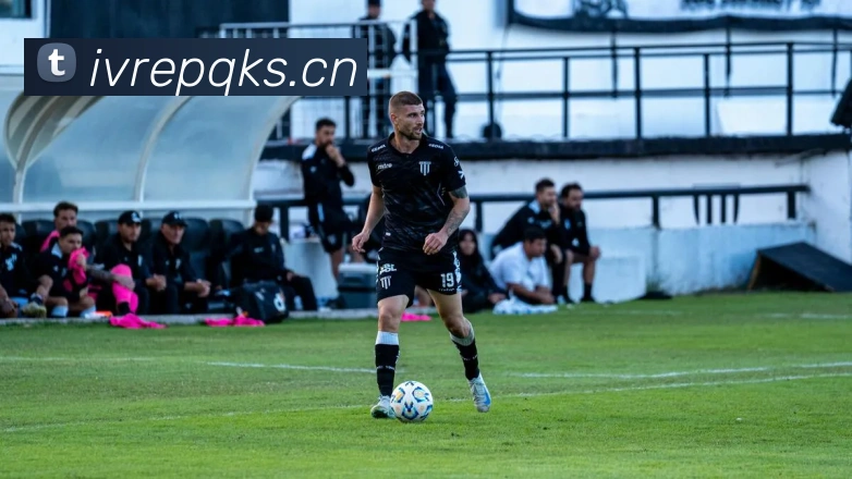 开云官方体育app官网平台生态图